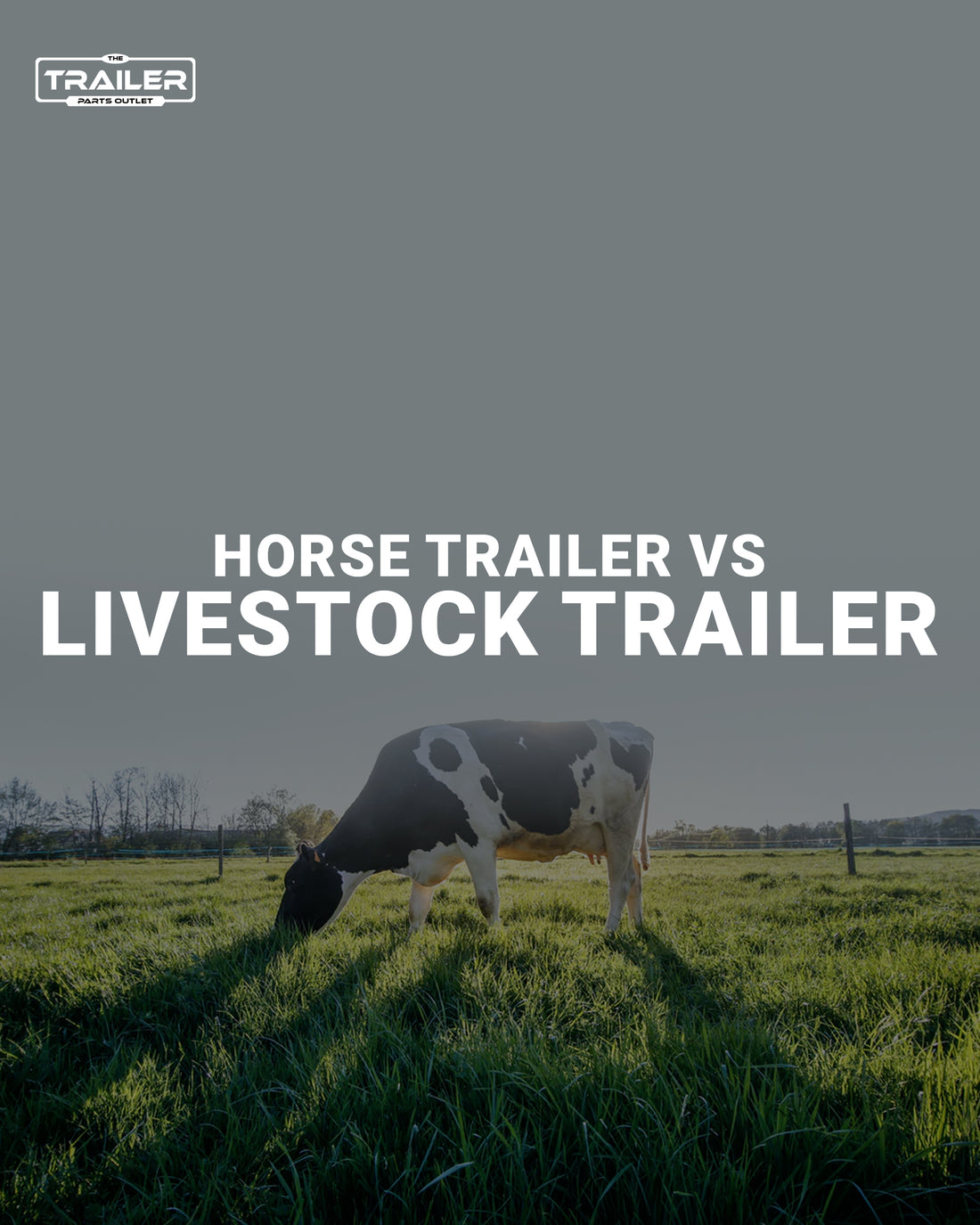 Horse Trailers vs. Livestock Trailers
