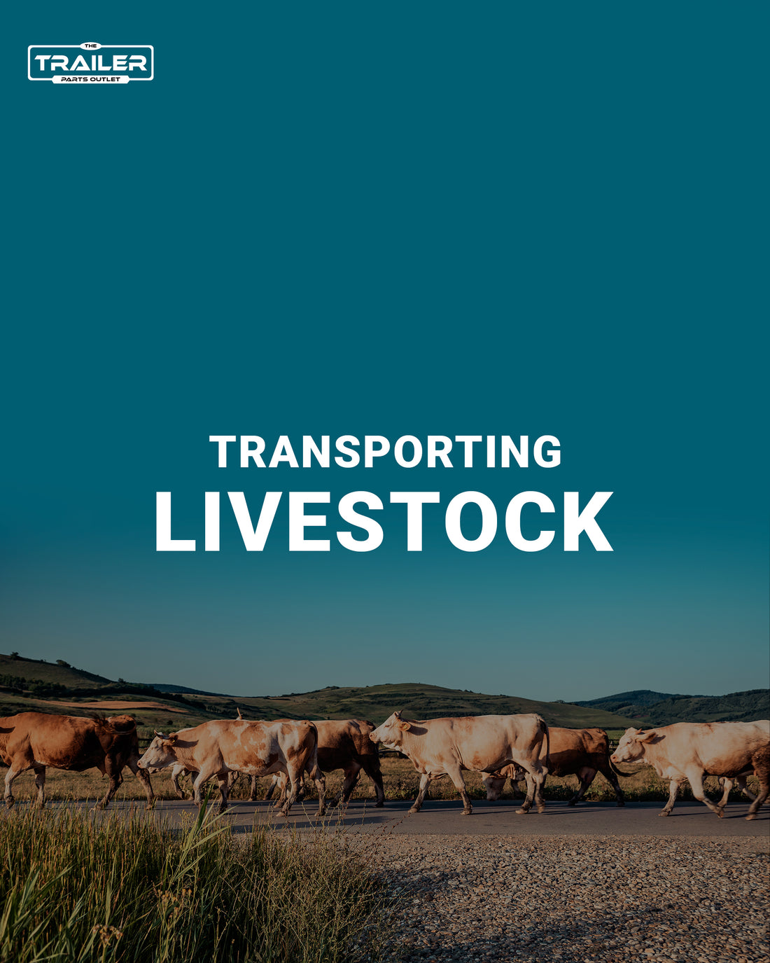 Livestock Trailer | The Trailer Parts Outlet